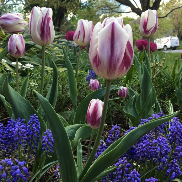 Meet your Posher, Kim - Picture 12 of 13